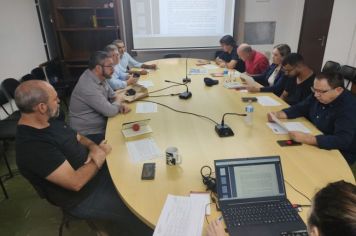 Em reunião conjunta, CCJ e CFO analisam Projetos de Lei